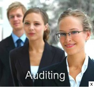 Audit & Consulting